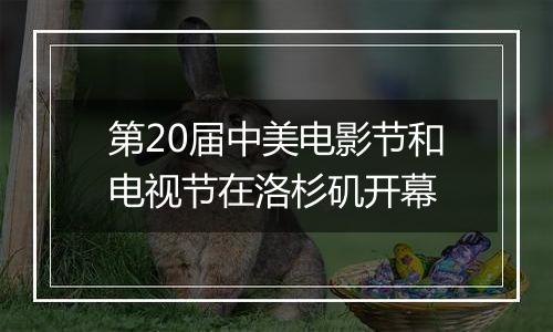 第20届中美电影节和电视节在洛杉矶开幕