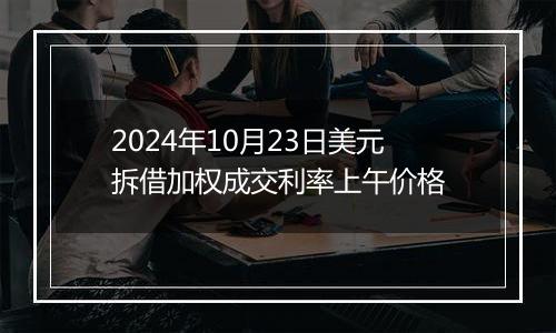 2024年10月23日美元拆借加权成交利率上午价格