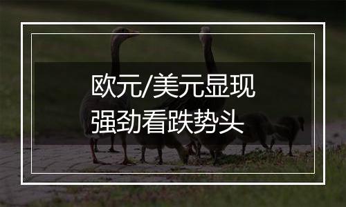 欧元/美元显现强劲看跌势头