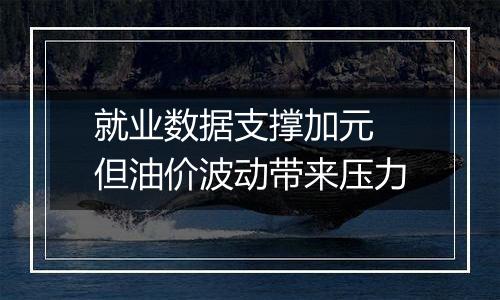 就业数据支撑加元 但油价波动带来压力