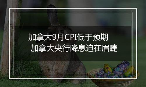 加拿大9月CPI低于预期 加拿大央行降息迫在眉睫