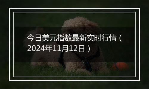 今日美元指数最新实时行情(2024年11月12日)
