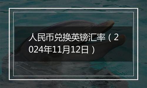 人民币兑换英镑汇率（2024年11月12日）