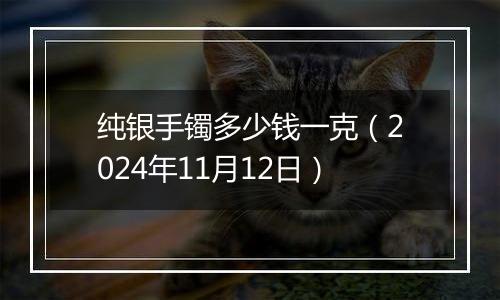 纯银手镯多少钱一克(2024年11月12日)