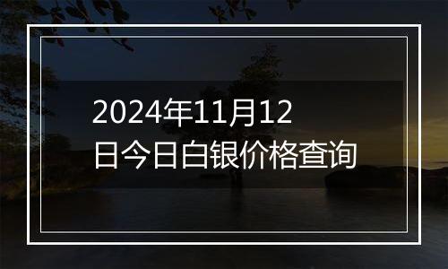 2024年11月12日今日白银价格查询