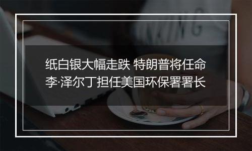 纸白银大幅走跌 特朗普将任命李·泽尔丁担任美国环保署署长