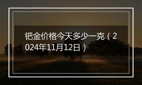 钯金价格今天多少一克（2024年11月12日）
