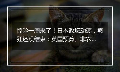 惊险一周来了!日本政坛动荡,疯狂还没结束:英国预算、非农、科技巨头财报