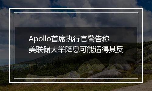 Apollo首席执行官警告称美联储大举降息可能适得其反