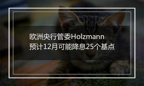 欧洲央行管委Holzmann预计12月可能降息25个基点