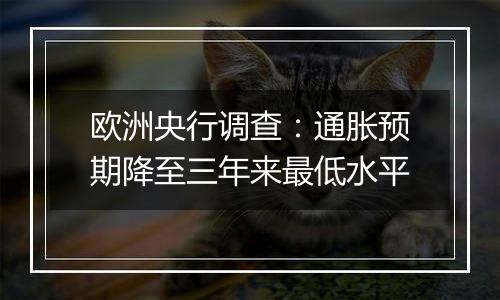 欧洲央行调查:通胀预期降至三年来最低水平