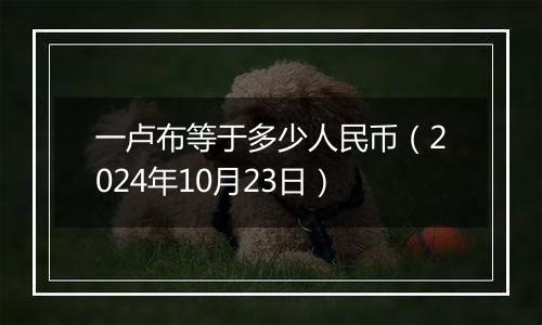 一卢布等于多少人民币(2024年10月23日)