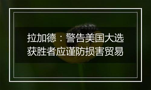 拉加德:警告美国大选获胜者应谨防损害贸易