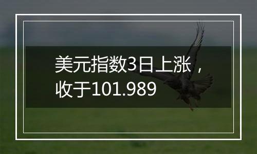 美元指数3日上涨,收于101.989