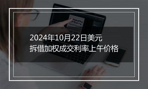 2024年10月22日美元拆借加权成交利率上午价格
