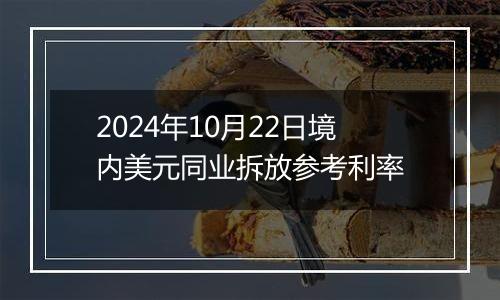 2024年10月22日境内美元同业拆放参考利率