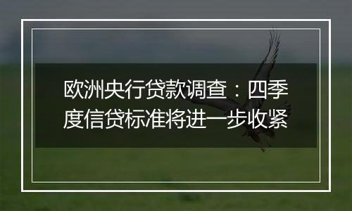 欧洲央行贷款调查:四季度信贷标准将进一步收紧