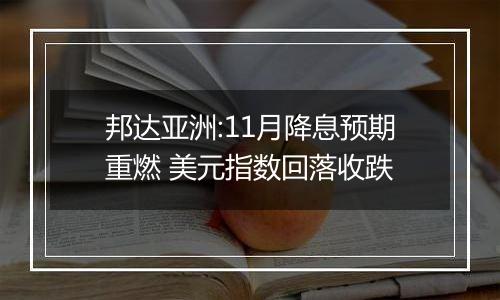 邦达亚洲:11月降息预期重燃 美元指数回落收跌