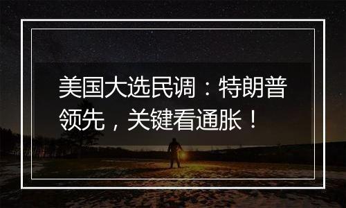 美国大选民调:特朗普领先,关键看通胀!