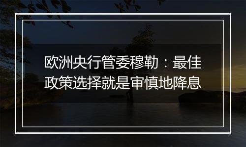 欧洲央行管委穆勒:最佳政策选择就是审慎地降息