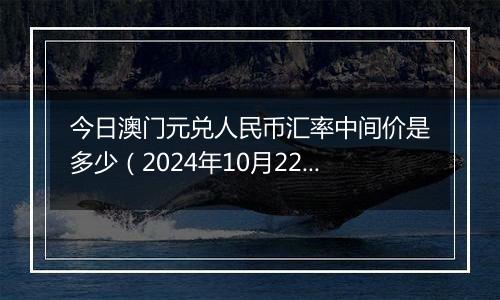 今日澳门元兑人民币汇率中间价是多少(2024年10月22日)