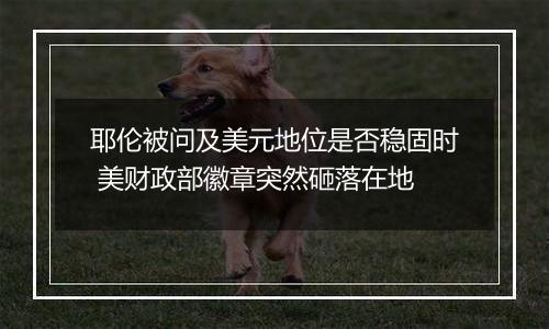 耶伦被问及美元地位是否稳固时 美财政部徽章突然砸落在地