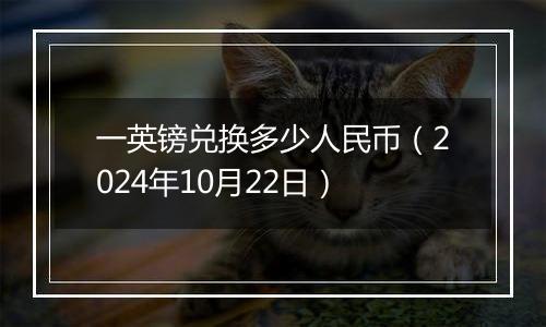一英镑兑换多少人民币(2024年10月22日)