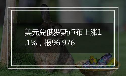 美元兑俄罗斯卢布上涨1.1%,报96.976