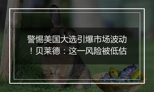 警惕美国大选引爆市场波动!贝莱德:这一风险被低估