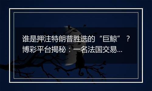 谁是押注特朗普胜选的“巨鲸”?博彩平台揭秘:一名法国交易员
