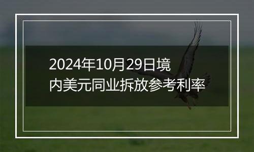 2024年10月29日境内美元同业拆放参考利率