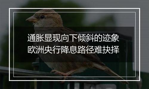 通胀显现向下倾斜的迹象 欧洲央行降息路径难抉择