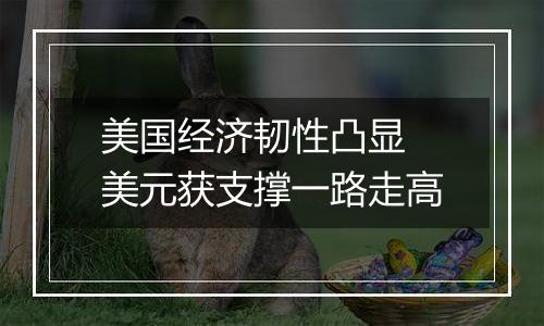 美国经济韧性凸显 美元获支撑一路走高