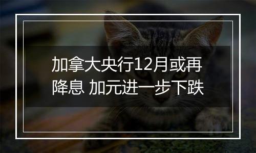 加拿大央行12月或再降息 加元进一步下跌