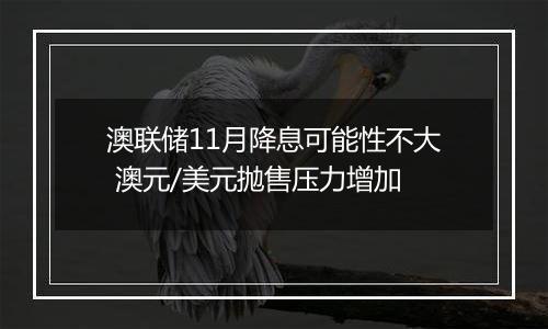 澳联储11月降息可能性不大 澳元/美元抛售压力增加