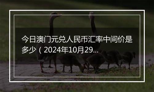 今日澳门元兑人民币汇率中间价是多少(2024年10月29日)