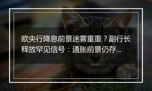 欧央行降息前景迷雾重重?副行长释放罕见信号:通胀前景仍存巨大风险