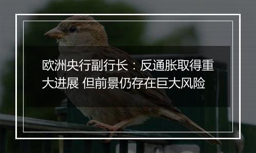 欧洲央行副行长:反通胀取得重大进展 但前景仍存在巨大风险