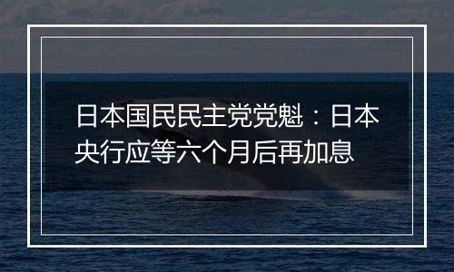 日本国民民主党党魁:日本央行应等六个月后再加息