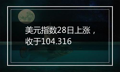 美元指数28日上涨,收于104.316