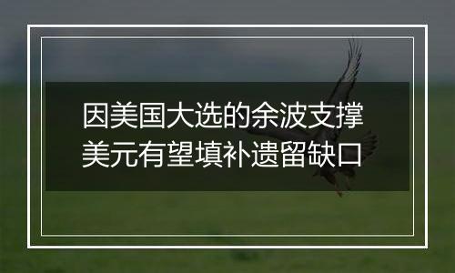 因美国大选的余波支撑 美元有望填补遗留缺口