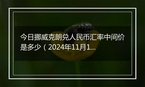 今日挪威克朗兑人民币汇率中间价是多少(2024年11月13日)