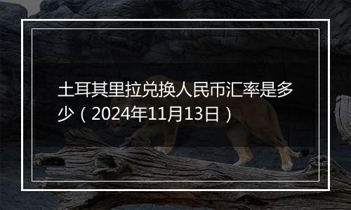 土耳其里拉兑换人民币汇率是多少(2024年11月13日)