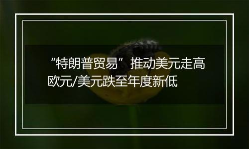 “特朗普贸易”推动美元走高 欧元/美元跌至年度新低