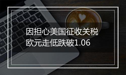 因担心美国征收关税 欧元走低跌破1.06