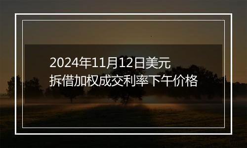 2024年11月12日美元拆借加权成交利率下午价格