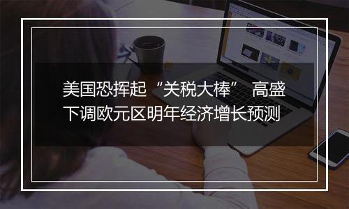 美国恐挥起“关税大棒” 高盛下调欧元区明年经济增长预测