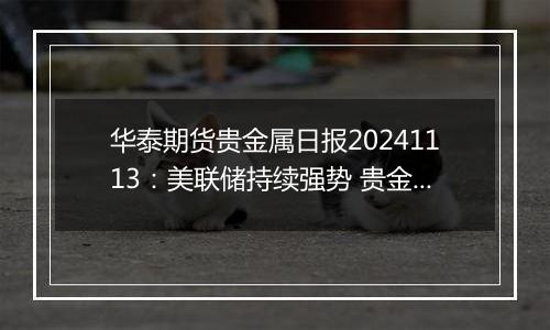 华泰期货贵金属日报20241113:美联储持续强势 贵金属偏弱震荡