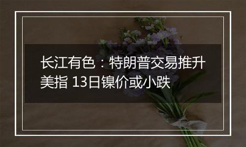 长江有色:特朗普交易推升美指 13日镍价或小跌