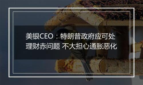美银CEO：特朗普政府应可处理财赤问题 不大担心通胀恶化